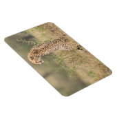 Koelkast Magnet UW Foto Sjabloon 4 x 6 Magneet (Rechterzijde)