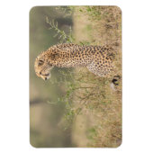 Koelkast Magnet UW Foto Sjabloon 4 x 6 Magneet (Verticaal)