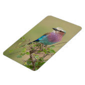 Koelkast Magnet UW Foto Sjabloon 4 x 6 Magneet (Linkerzijde)