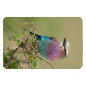 Koelkast Magnet UW Foto Sjabloon 4 x 6 Magneet (Horizontaal)