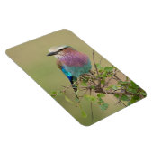 Koelkast Magnet UW Foto Sjabloon 4 x 6 Magneet (Rechterzijde)