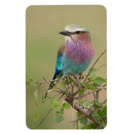 Koelkast Magnet UW Foto Sjabloon 4 x 6 Magneet