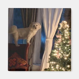 Koelkast Magnet Waiting for Santa Paws