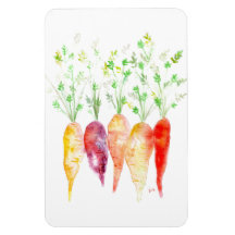 Koelkast Magnet - Waterverf Heirloom Carrots
