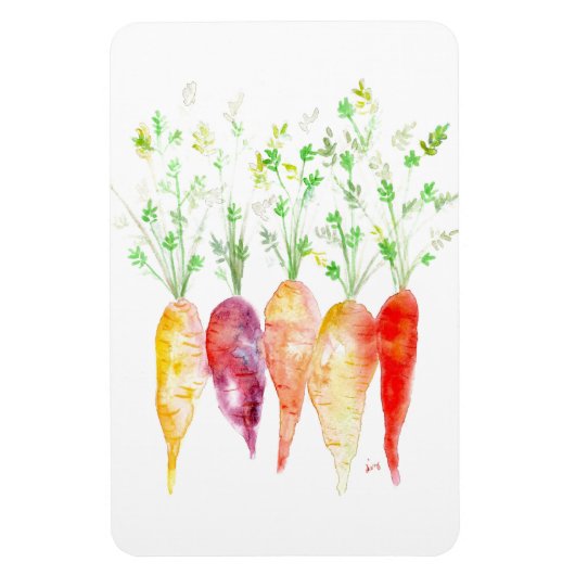 Koelkast Magnet - Waterverf Heirloom Carrots Magneet (Verticaal)