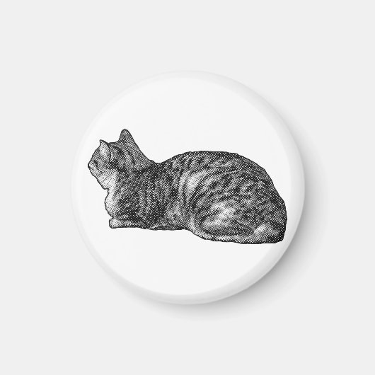 Koelkast Tabby, Pootjes Ingetrokken Magneet (Voorkant)