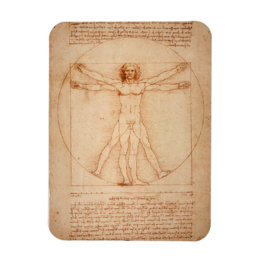 Koelkast Vitruviaans Man, Leonardo da Vinci Magneet (Verticaal)