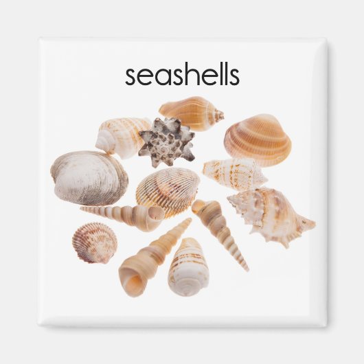 Koelkast voor zeeschelpen Magnet (Voorkant)