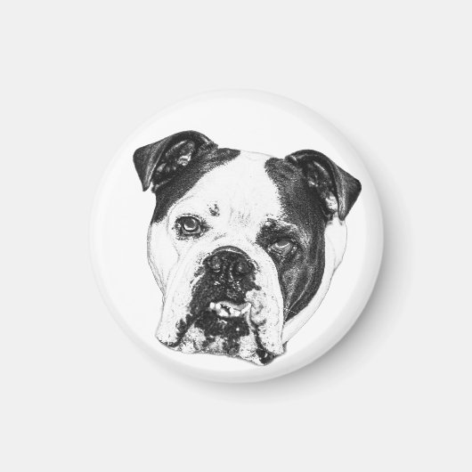 Koelkastlijst Bulldog Magneet (Voorkant)