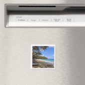koelkastmagneet; Jamaica strand souvenir Magneet (Insitu (Vaatwasser))