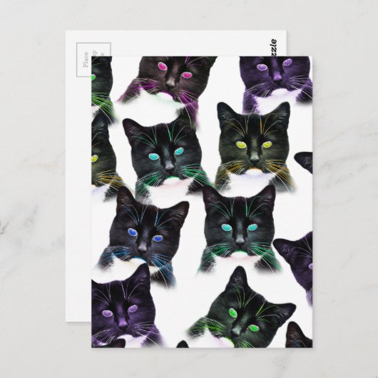 Koelkatten Briefkaart (Voorkant / Achterkant)