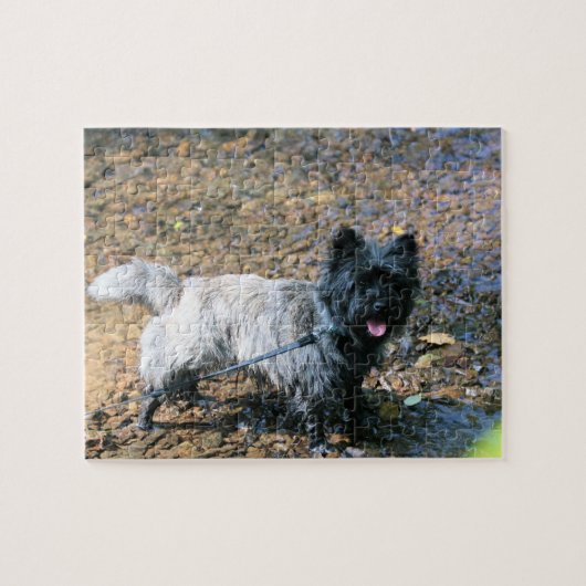 Koelkooi Legpuzzel (Horizontaal)