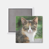 Koelkooi Magneet (Voorkant / Achterkant)