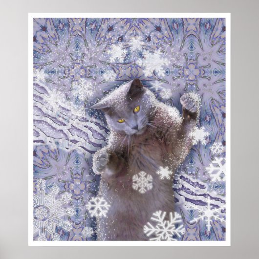 Koelkooi Poster (Voorkant)