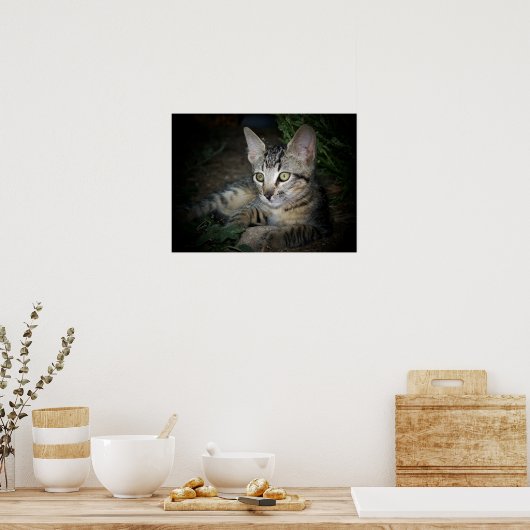 Koelkooi Poster (Keuken)