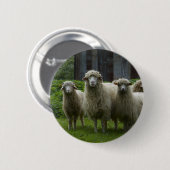 Koelkudde van schapen | Farmland Ronde Button 5,7 Cm (Voorkant /achterkant)