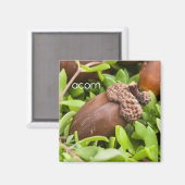 Koelmachine voor oranjers Magnet (Voorkant / Achterkant)