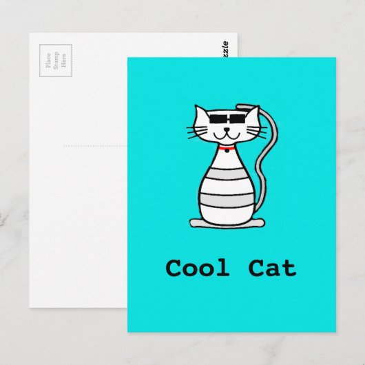 Koelpan met zonnebrillen briefkaart (Voorkant / Achterkant)