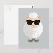 Koelschapen Briefkaart (Voorkant / Achterkant)