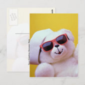 Koelteddybeer met schouderglas briefkaart (Voorkant / Achterkant)