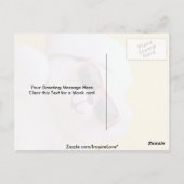 Koelteddybeer met schouderglas briefkaart (Achterkant)