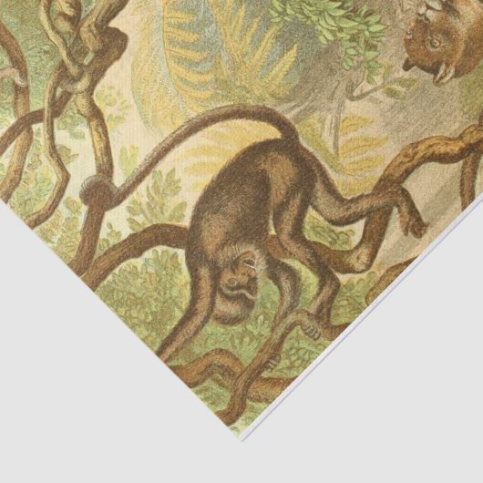 koelvee Oerwouden ontkoppelen ambachtslieden Tissuepapier (Detail)