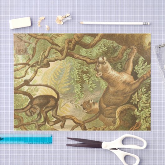 koelvee Oerwouden ontkoppelen ambachtslieden Tissuepapier (Craft)