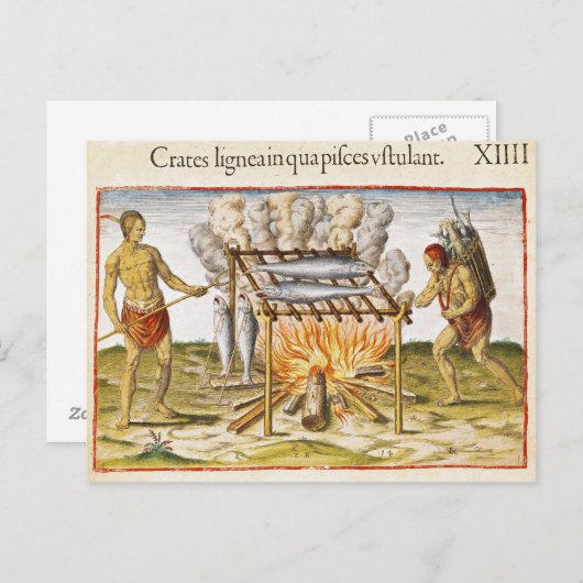 Koelvis Briefkaart (Voorkant / Achterkant)