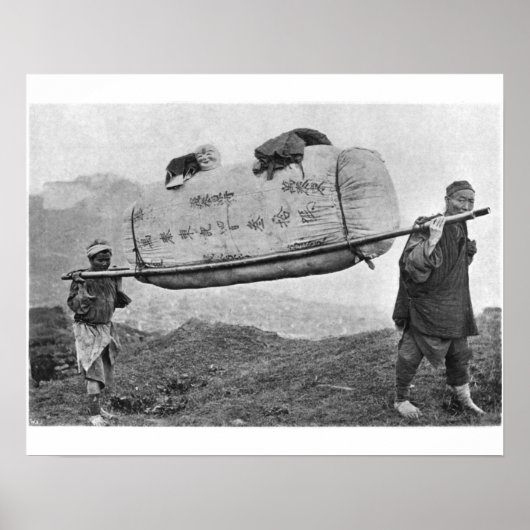 Koelvliegen met katoen, 1901 (foto) poster (Voorkant)