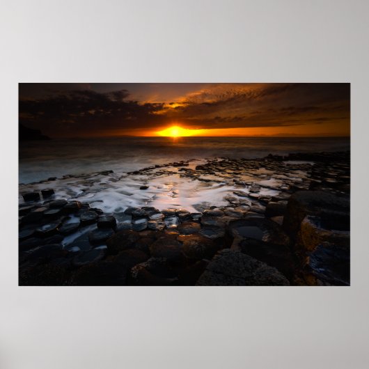 Koelwater Poster (Voorkant)