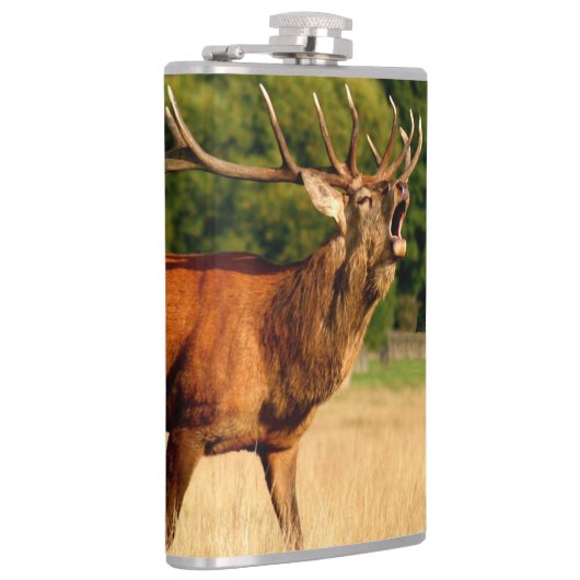 Koelwulk in rut heupfles (Rechts)