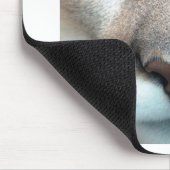 Koepel Muismat (Hoek)