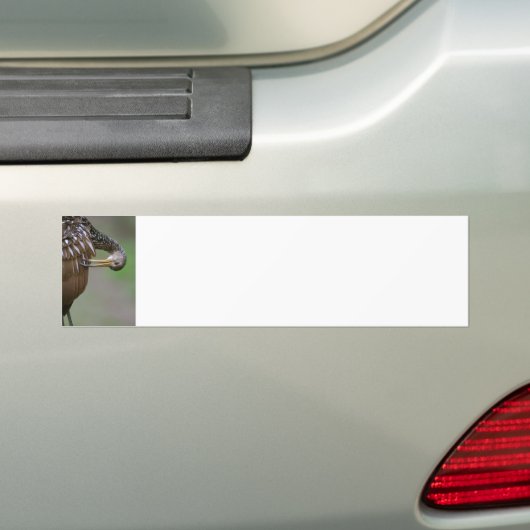 Koereiger Bumpersticker (Op auto)