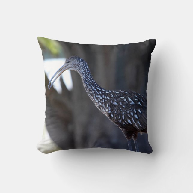 Koereiger, De Huilende Vogel Kussen (Voorkant)