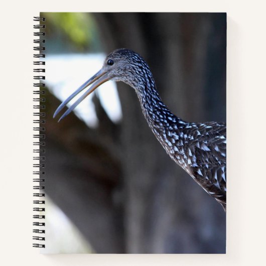 Koereiger, De Huilende Vogel Notitieboek (Voorkant)