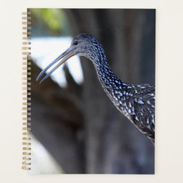 Koereiger, De Huilende Vogel Planner