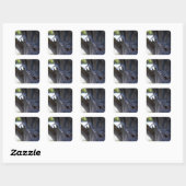 Koereiger, De Huilende Vogel Vierkante Sticker (Vel)