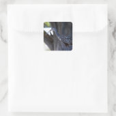 Koereiger, De Huilende Vogel Vierkante Sticker (Tas)