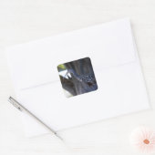 Koereiger, De Huilende Vogel Vierkante Sticker (Envelop)