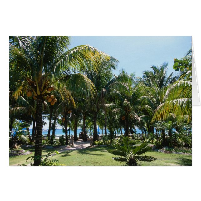 Koerresort (Voorkant Horizontaal)