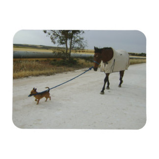 Koers naar huis magneet