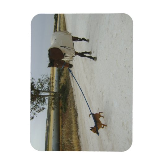 Koers naar huis magneet (Verticaal)