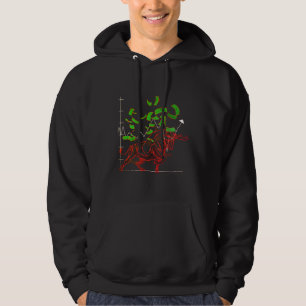 Koersstijging op de aandelenmarkt hoodie