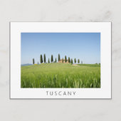 Koerstal in Toscane met cyperen wit briefkaart (Voorkant)