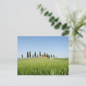 Koeshuis in Toscane met briefkaart van cyperen (Staand voorkant)