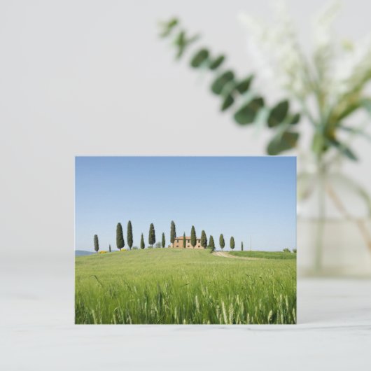 Koeshuis in Toscane met briefkaart van cyperen (Staand voorkant)