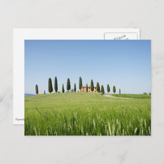 Koeshuis in Toscane met briefkaart van cyperen (Voorkant / Achterkant)