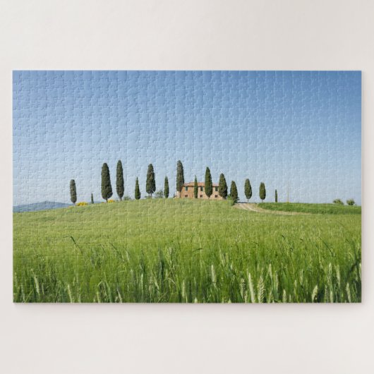 Koeshuis in Toscane met cyperen en tarwe Legpuzzel (Horizontaal)