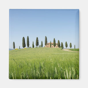 Koeshuis in Toscane met een cypressmagneet Magneet