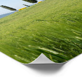 Koeshuis in Toscane met poster van cyperen (Hoek)